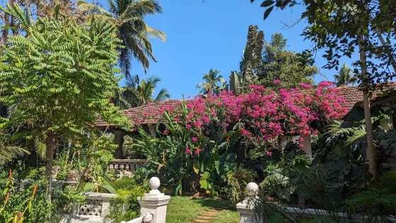 Palacio do Deao