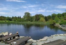 Go Ape Bedgebury (Treetop Challenge, Treetop Adventure, Zip Lines, High Ropes)景点图片