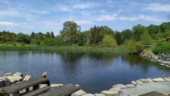 Go Ape Bedgebury （Treetop Challenge, Treetop Adventure, Zip Lines, High Ropes）