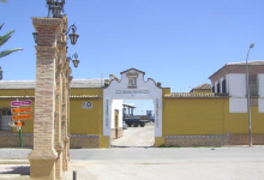 Almazara Garcia Moron购物图片
