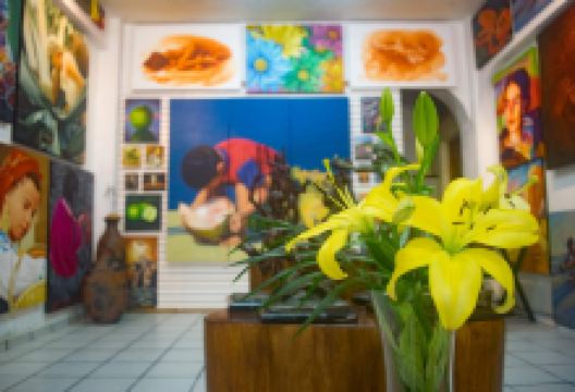 Suazo Art Gallery景点图片