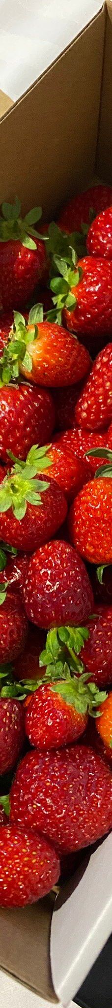 Ricardoes Tomatoes-Blackmans Point