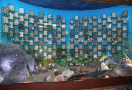 花津浦海洋博物馆景点图片