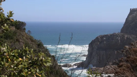 Margaret's Viewpoint