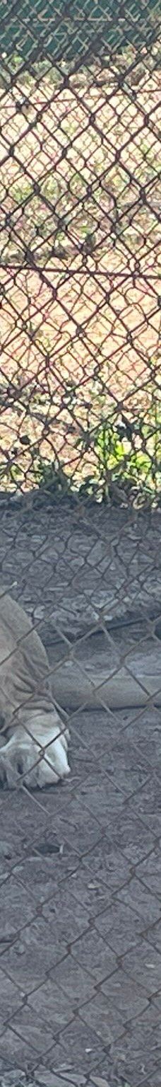 Predator World-Bojanala