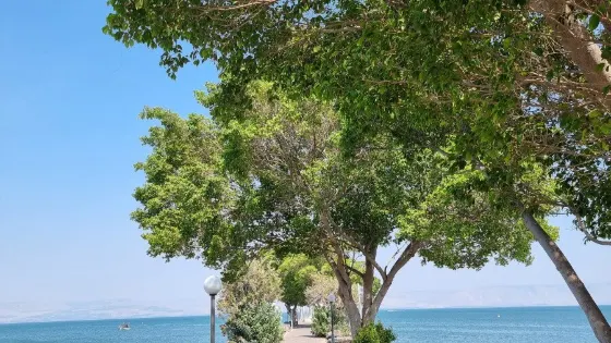 加利利海古船博物館