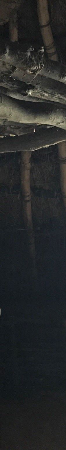 本町田遗迹公园-町田市