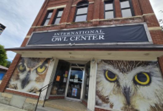 International Owl Center景点图片
