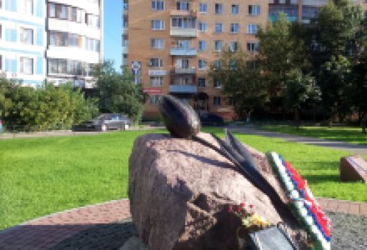 Black Tulip - Afghanistan War Memorial景点图片