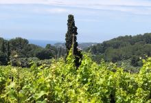 Domaine de Terrebrune购物图片