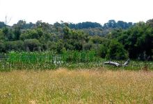Balbirooroo Wetlands景点图片