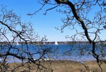 Wrabness Nature Reserve景点图片