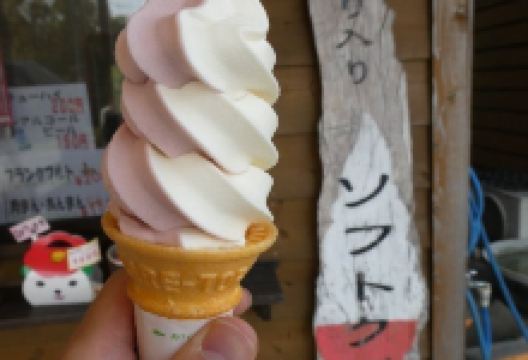 Gototsubaki Bussankan购物图片