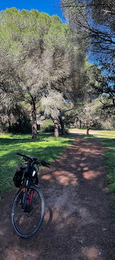 El Pinar del Rey-圣罗克