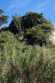 Ikobe Coast-丰桥市