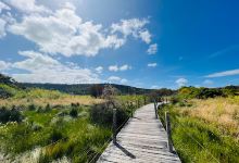 Lake View Lookout景点图片