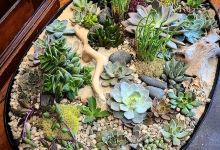 Avid Gardener购物图片