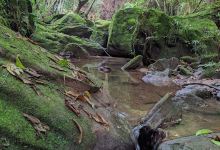 Cascada Cañaveralito / Cañaveral景点图片