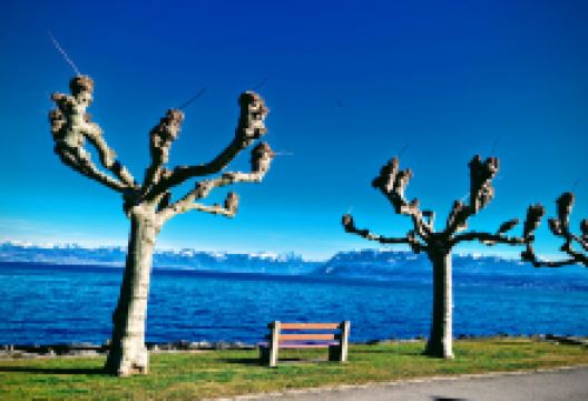 Plage Place d'Armes景点图片