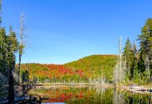 Lac du Carcan景点图片