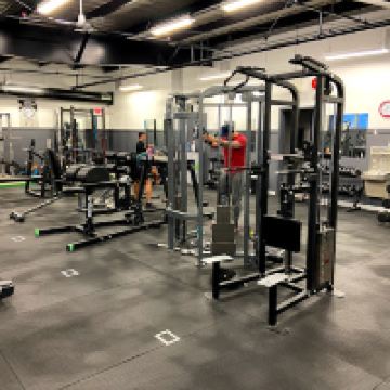 兰金因雷特图片