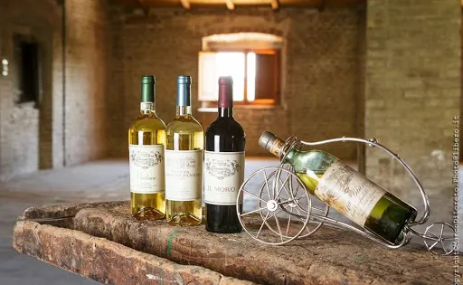 Tenuta Seghetti Panichi