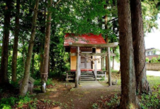 Take Hachimangu Shrine景点图片