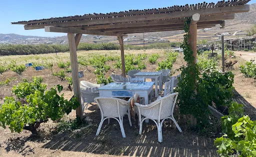 Mykonos Vioma Organic Farm
