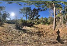 Town N Country Nature Preserve.景点图片
