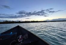Bings Landing Campground & Day Use Area景点图片
