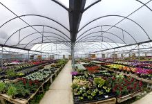 Allred's Yard & Garden购物图片