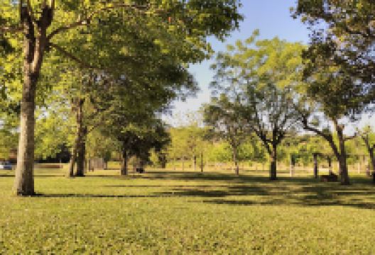 Balneário AMSS. Camping景点图片