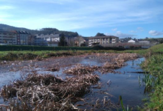 Área Recreativa El Noveledo景点图片