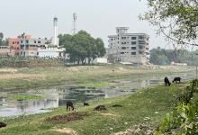 Andulbaria Play field景点图片