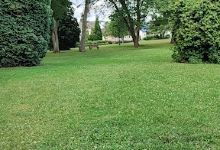 Reginlindenpark Wirges景点图片