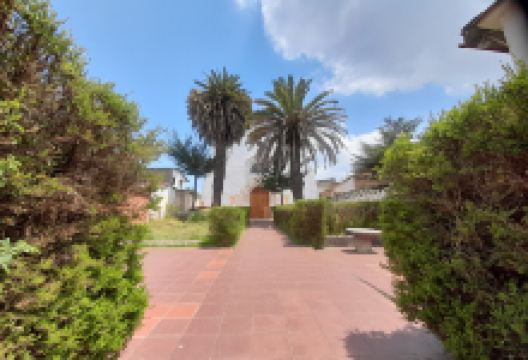 Plaza de Moco moco景点图片