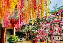 CHÙA ĐẠO LONG (BUDDHIST TEMPLE)景点图片