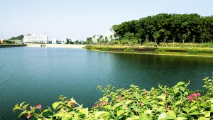 市橋河公園