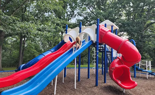 Constitution Park