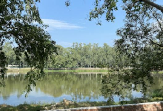 Nochha Pokhari景点图片