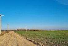 Intrarea Eden Forest Crevedia景点图片