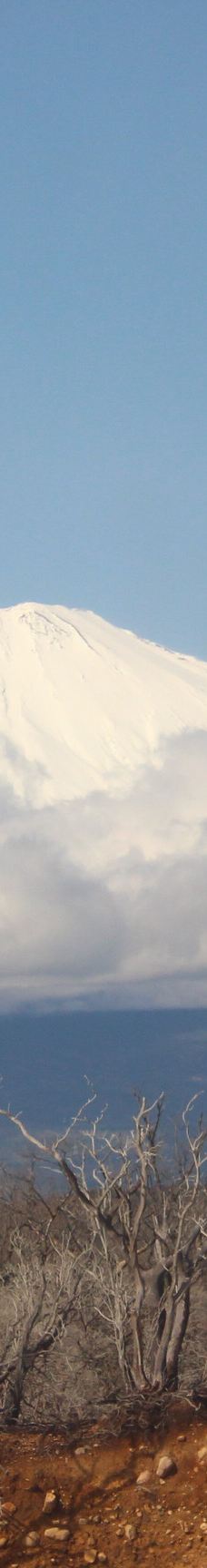 箱根空中缆车-箱根