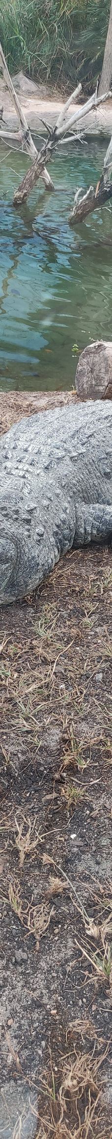 瓦伦西亚海洋公园-瓦伦西亚