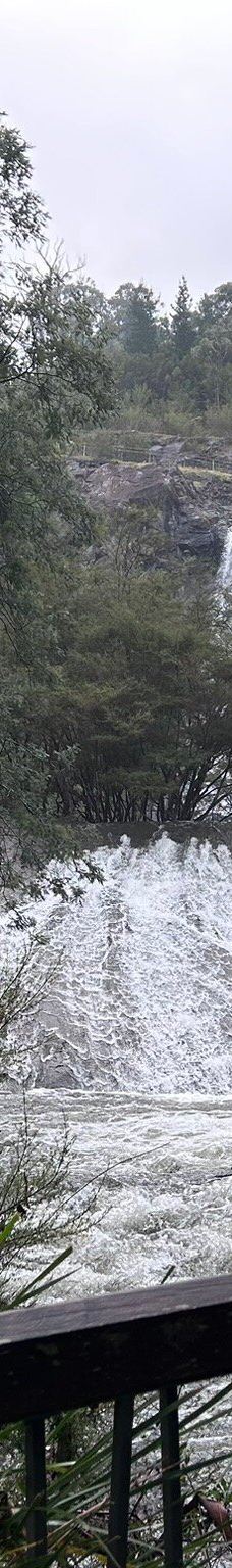 Maroondah Reservoir Park-希尔斯维尔