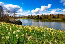 National Trust - Clumber Park景点图片