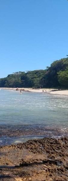 卡维塔国家公园-Talamanca