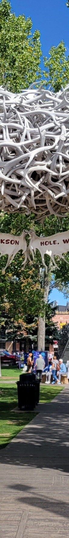 杰克逊鹿角公园-杰克逊