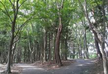 Tochigi Prefectural Igashira Park景点图片
