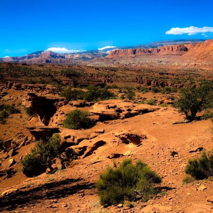 美国拉斯维加斯+盐湖城10日9晚自由行