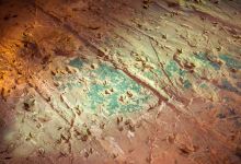 Dinosaur Stampede at Lark Quarry Conservation Park景点图片
